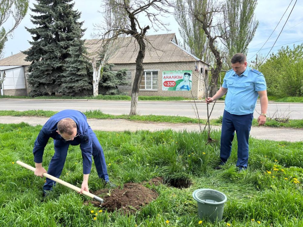 По поручению Главы Донецкой Народной Республики – Дениса Владимировича Пушилина, в Мангушском муниципальном округе продолжается двухмесячник по благоустройству и озеленению «Зелёный Донбасс» По поручению Главы Донецкой Народной Республики – Дениса Владимировича Пушилина, в Мангушском муниципальном округе продолжается двухмесячник по благоустройству и озеленению «Зелёный Донбасс»