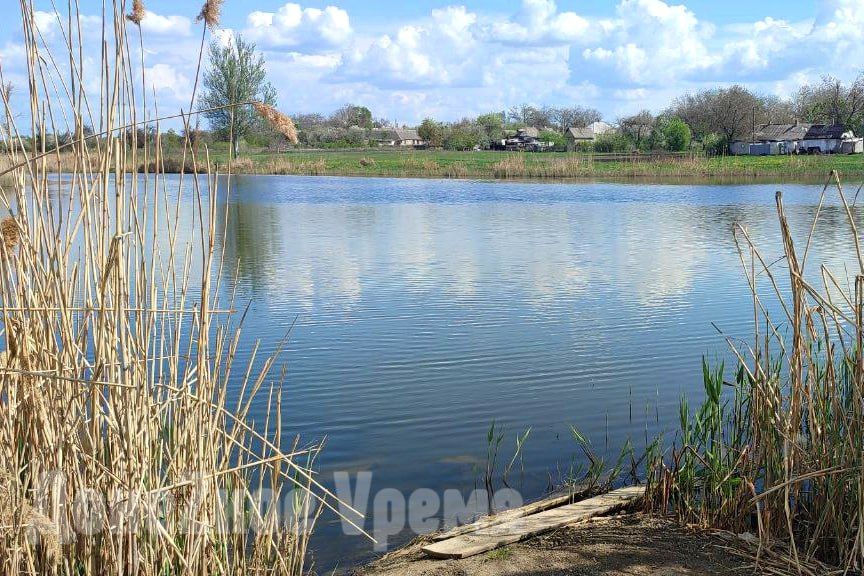Организовали полив: в Харцызске предприимчивые дельцы качают воду насосом из пруда Организовали полив: в Харцызске предприимчивые дельцы качают воду насосом из пруда