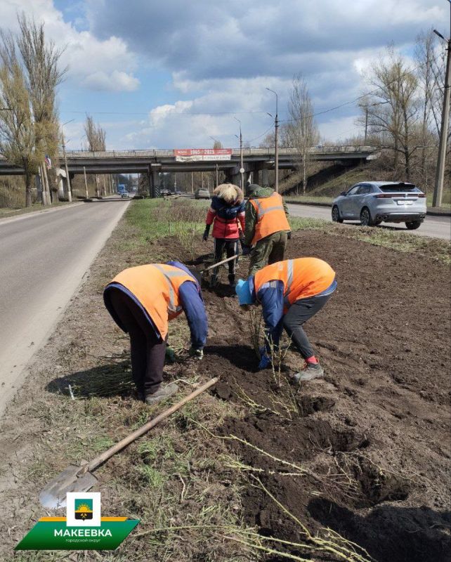 В Макеевке продолжаются мероприятия по благоустройству в рамках акции «Зелёный Донбасс» В Макеевке продолжаются мероприятия по благоустройству в рамках акции «Зелёный Донбасс»
