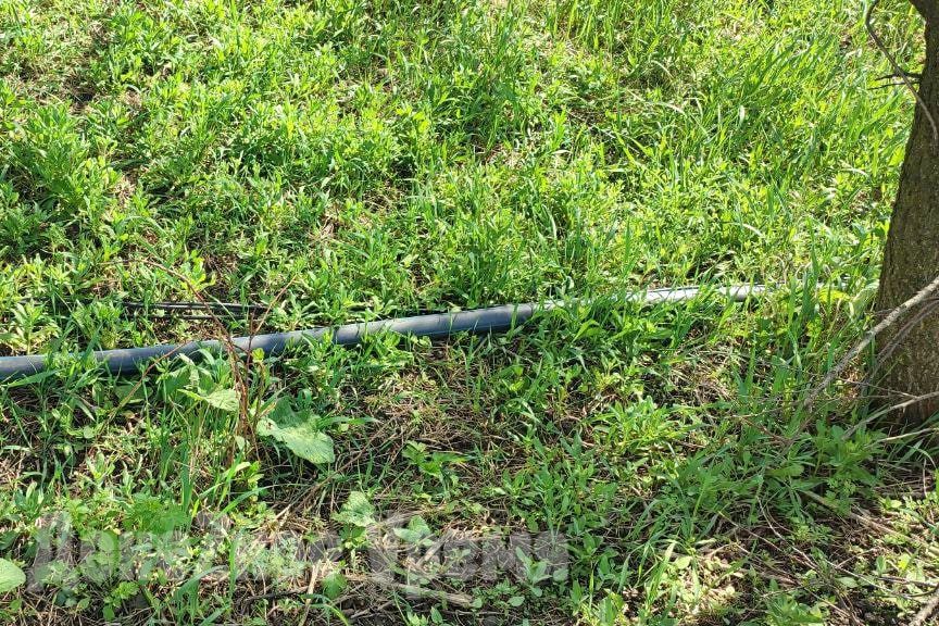 Организовали полив: в Харцызске предприимчивые дельцы качают воду насосом из пруда Организовали полив: в Харцызске предприимчивые дельцы качают воду насосом из пруда