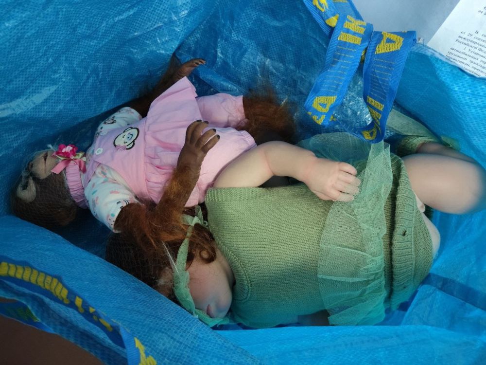 Из Латвии в Донецк: наркокурьер везла наркотики в кукле и обезьянке Из Латвии в Донецк: наркокурьер везла наркотики в кукле и обезьянке