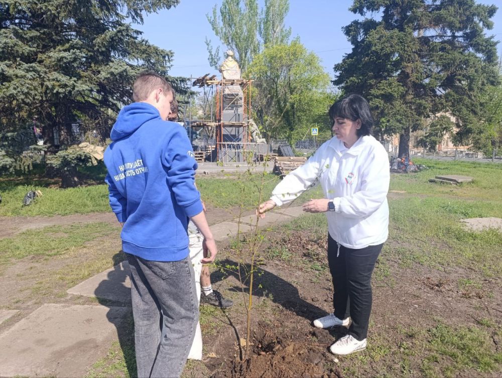 В рамках благоустройства территории у братской могилы советских воинов высажены берёзы В рамках благоустройства территории у братской могилы советских воинов высажены берёзы