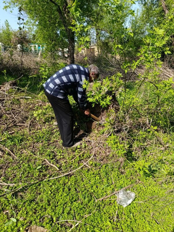 В Торезе состоялся Всероссийский субботник В Торезе состоялся Всероссийский субботник