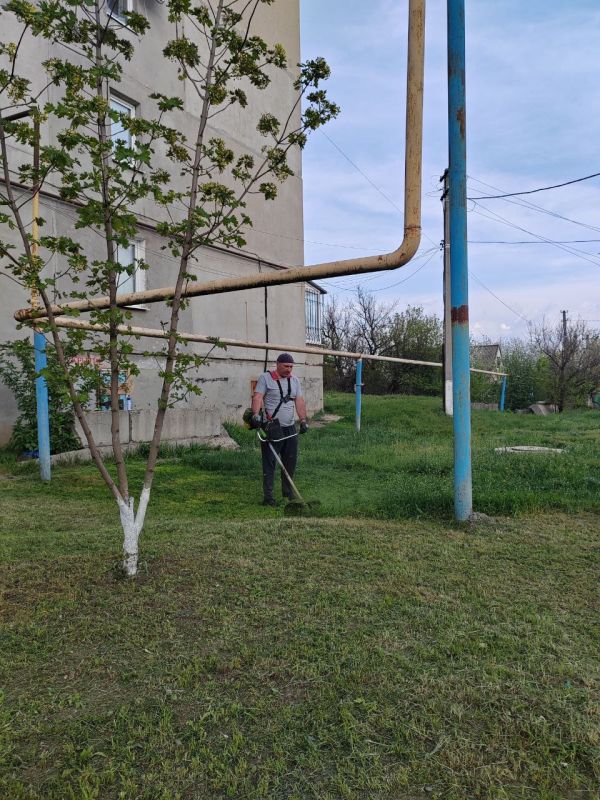Жители п. Красный Партизан приняли участие во Всероссийском субботнике Жители п. Красный Партизан приняли участие во Всероссийском субботнике