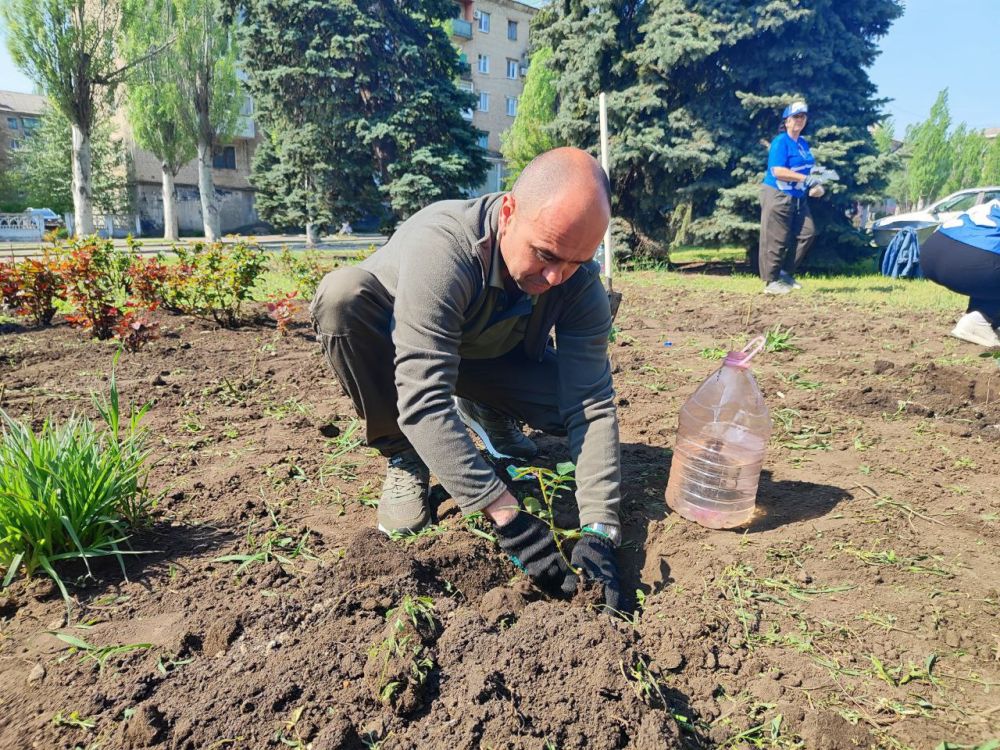 "Единая Россия" вновь объединилась для создания цветущего Тореза "Единая Россия" вновь объединилась для создания цветущего Тореза