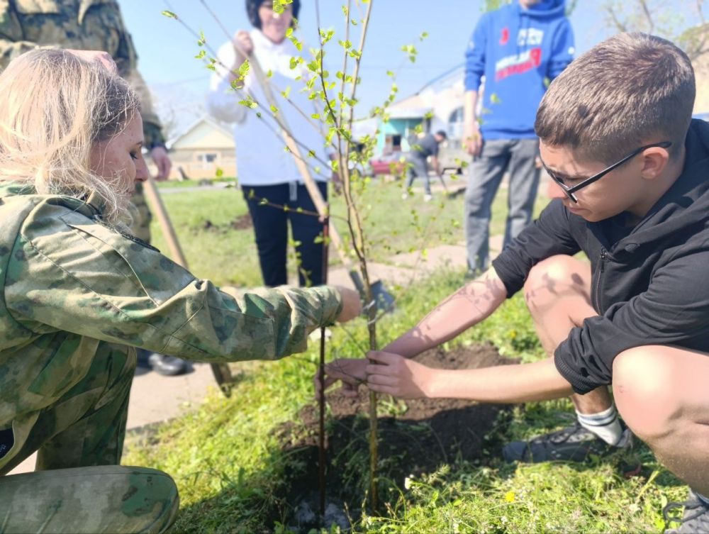 В рамках благоустройства территории у братской могилы советских воинов высажены берёзы В рамках благоустройства территории у братской могилы советских воинов высажены берёзы