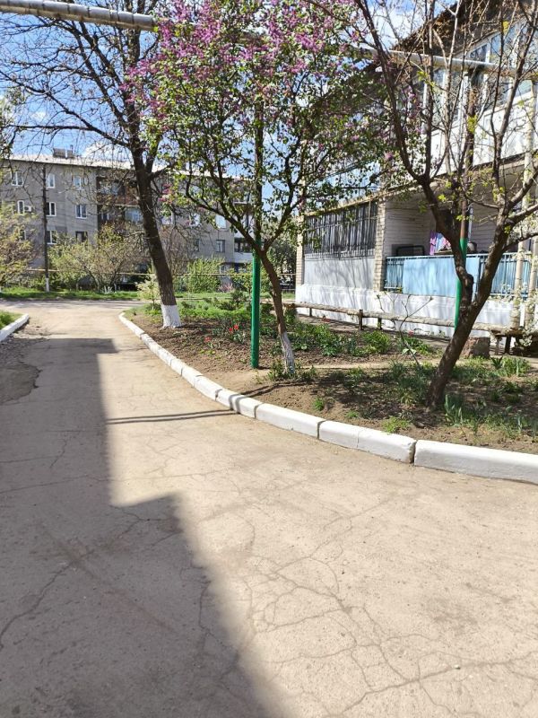 Жители п. Красный Партизан приняли участие во Всероссийском субботнике Жители п. Красный Партизан приняли участие во Всероссийском субботнике