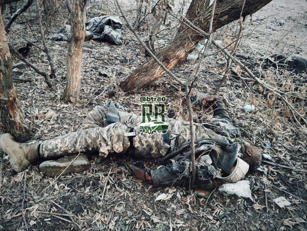Черные ножи не оставляют живого места от 59 ошбр ВСУ на Покровском направлении Черные ножи не оставляют живого места от 59 ошбр ВСУ на Покровском направлении
