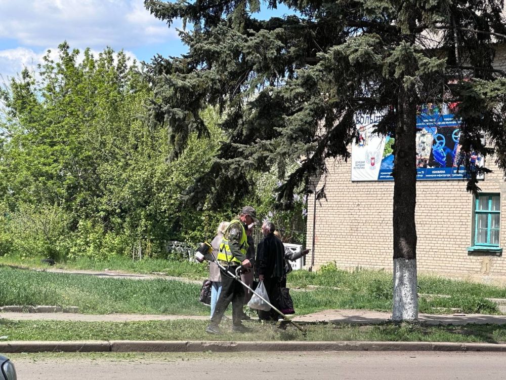 МУП БИОН начали работы по покосу сорных и карантинных трав МУП БИОН начали работы по покосу сорных и карантинных трав