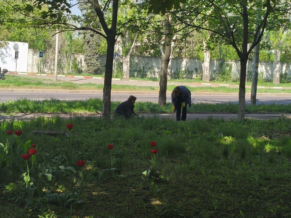 Члены участковой комиссии № 323 Киевского района приняли участие в Республиканском субботнике! Члены участковой комиссии № 323 Киевского района приняли участие в Республиканском субботнике!