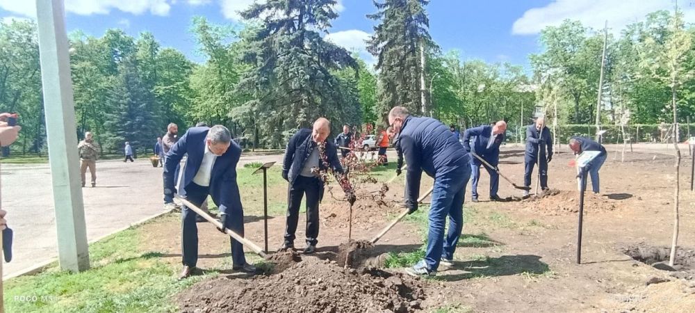 Роман Конев: Горловчане и гости города создали Аллею Героев в ознаменование 80-летия Великой Победы Роман Конев: Горловчане и гости города создали Аллею Героев в ознаменование 80-летия Великой Победы