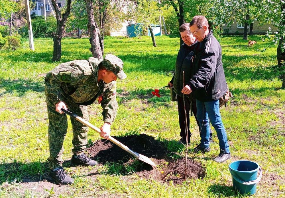 Наталья Бегуненко: В Петровском районе «Школа-интернат № 3 г. о. Донецк» присоединилась к Международной акции «Сад памяти», посвящённой 80-летию Победы Наталья Бегуненко: В Петровском районе «Школа-интернат № 3 г. о. Донецк» присоединилась к Международной акции «Сад памяти», посвящённой 80-летию Победы