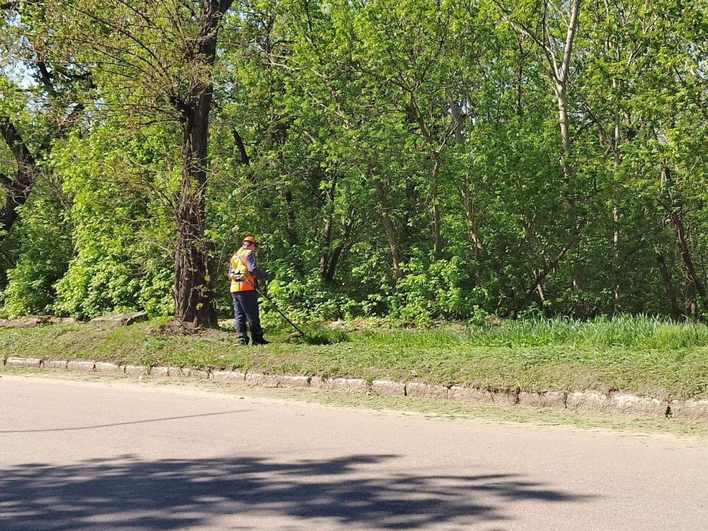 В Кировском внутригородском районе ведутся работы по покосу травы В Кировском внутригородском районе ведутся работы по покосу травы