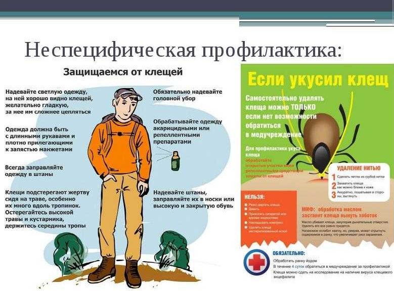 Вниманию жителей городского округа Енакиево Вниманию жителей городского округа Енакиево