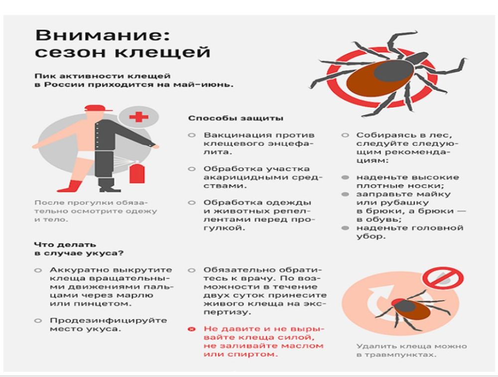 Уважаемые жители Старобешевского муниципального округа Уважаемые жители Старобешевского муниципального округа