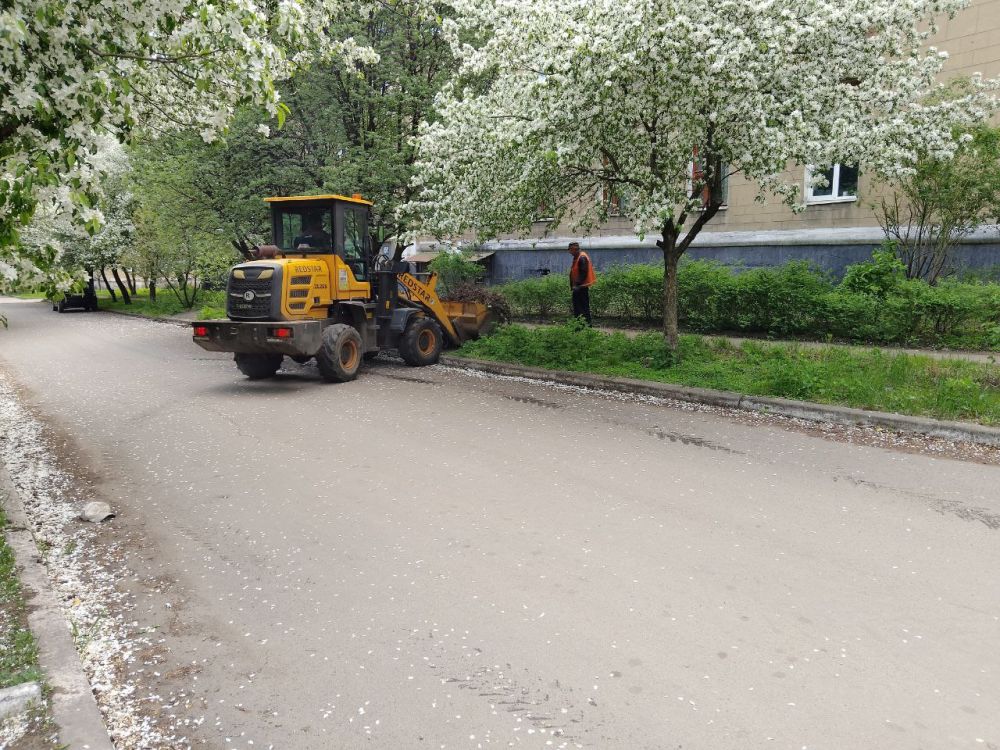 В Кировском внутригородском районе продолжаются работы в рамках двухмесячника по благоустройству В Кировском внутригородском районе продолжаются работы в рамках двухмесячника по благоустройству