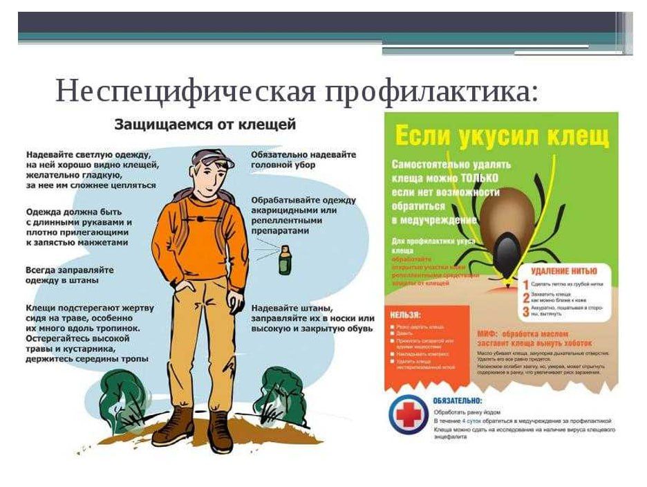 Уважаемые жители Старобешевского муниципального округа Уважаемые жители Старобешевского муниципального округа