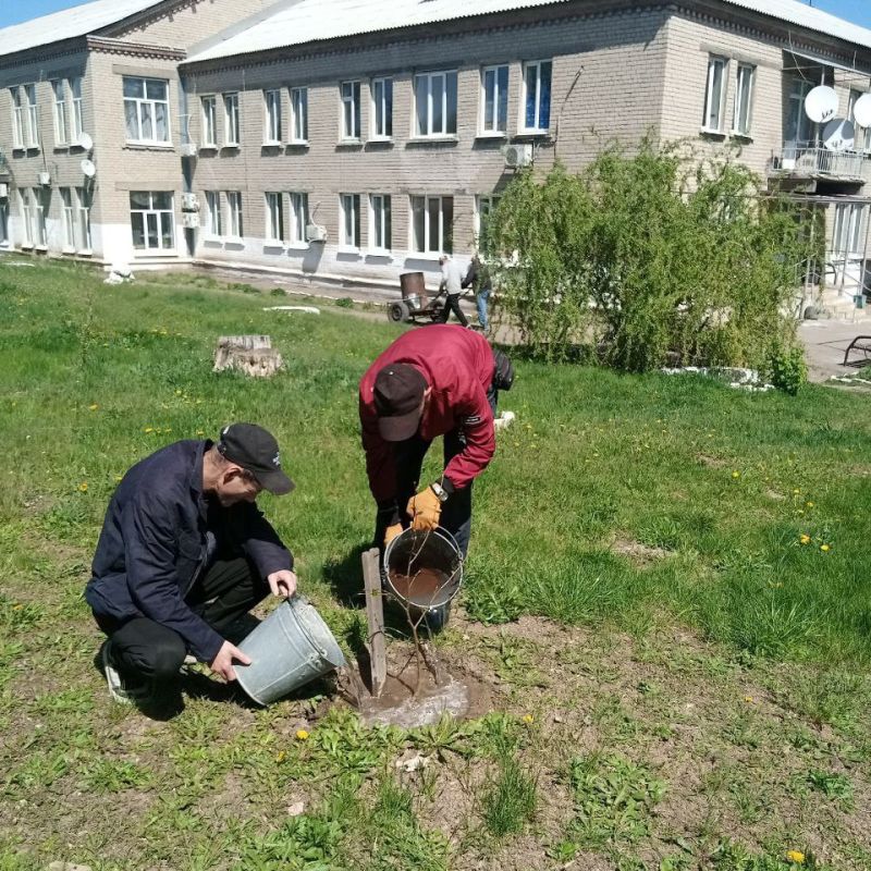 В Кировском продолжаются мероприятия в рамках акции «Зеленый Донбасс» В Кировском продолжаются мероприятия в рамках акции «Зеленый Донбасс»