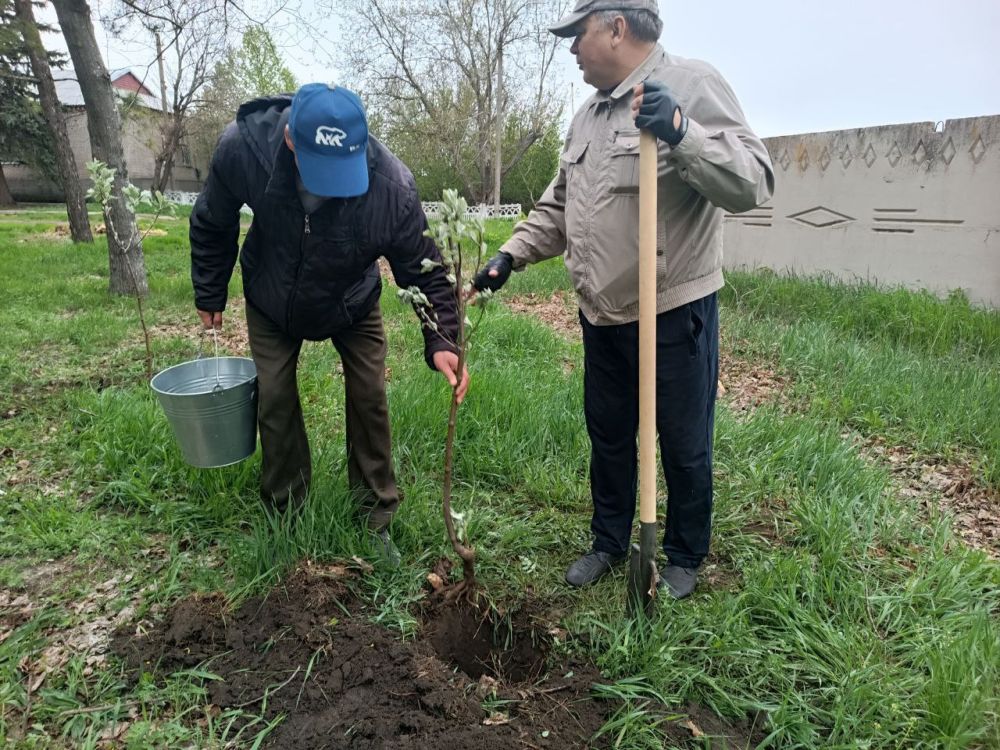 Сергей Юзвинкевич: Во исполнение поручения Главы Донецкой Народной Республики Пушилина Д. В. в Володарском муниципальном округе реализуется акция "Зелёный Донбасс" Сергей Юзвинкевич: Во исполнение поручения Главы Донецкой Народной Республики Пушилина Д. В. в Володарском муниципальном округе реализуется акция "Зелёный Донбасс"
