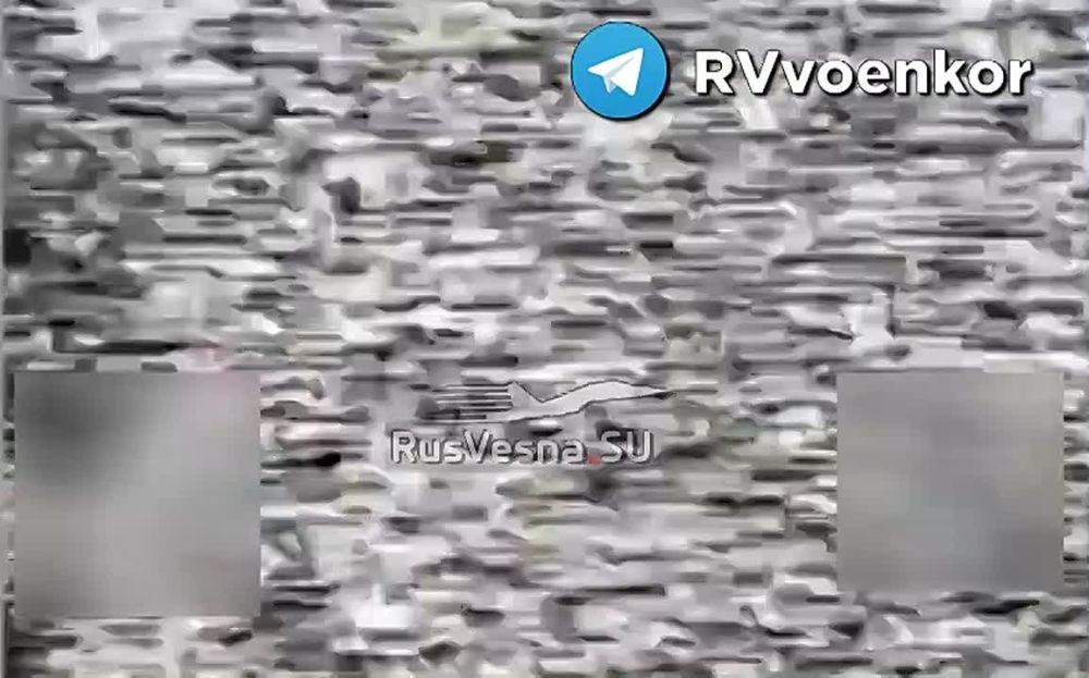     255        