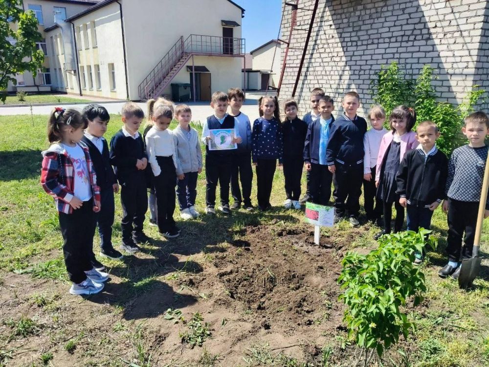 Патриотическая акция «Сад памяти» прошла в ГБОУ «Мангушская школа №2» Патриотическая акция «Сад памяти» прошла в ГБОУ «Мангушская школа №2»