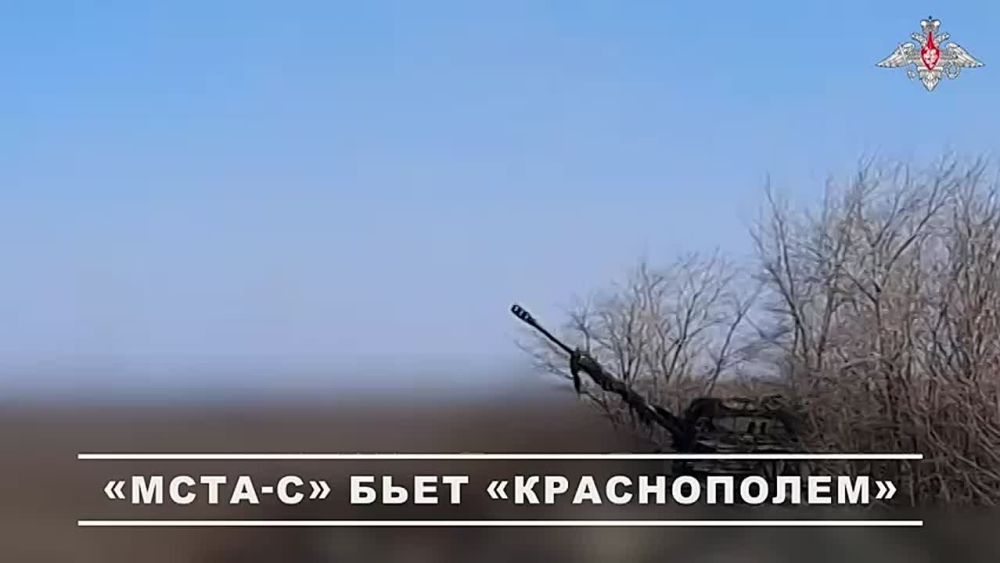  :   -ѻ         - 