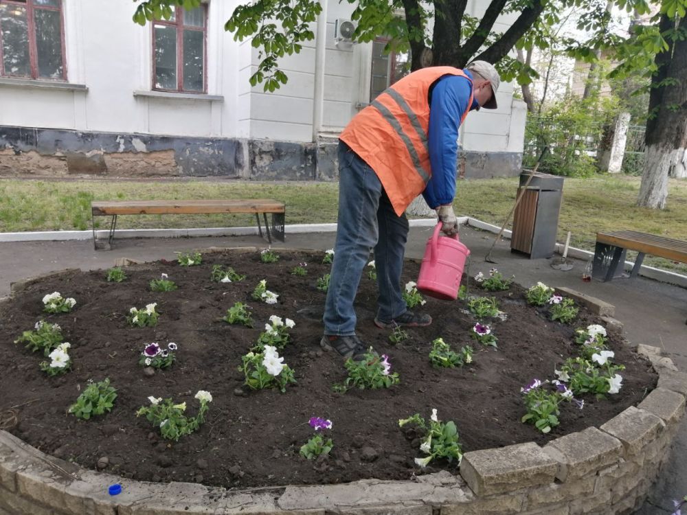 Коммунальщики Снежного продолжают благоустраивать территории общего пользования Коммунальщики Снежного продолжают благоустраивать территории общего пользования
