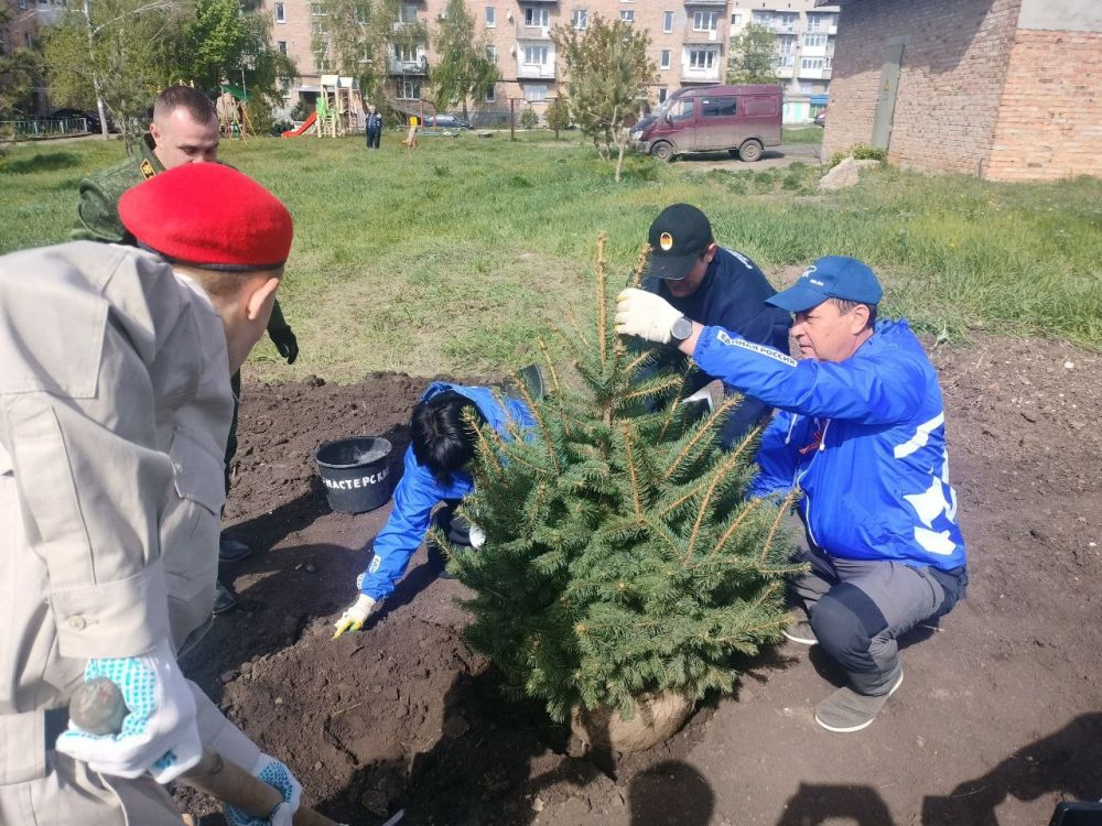 Сажаем будущее в память о прошлом Сажаем будущее в память о прошлом
