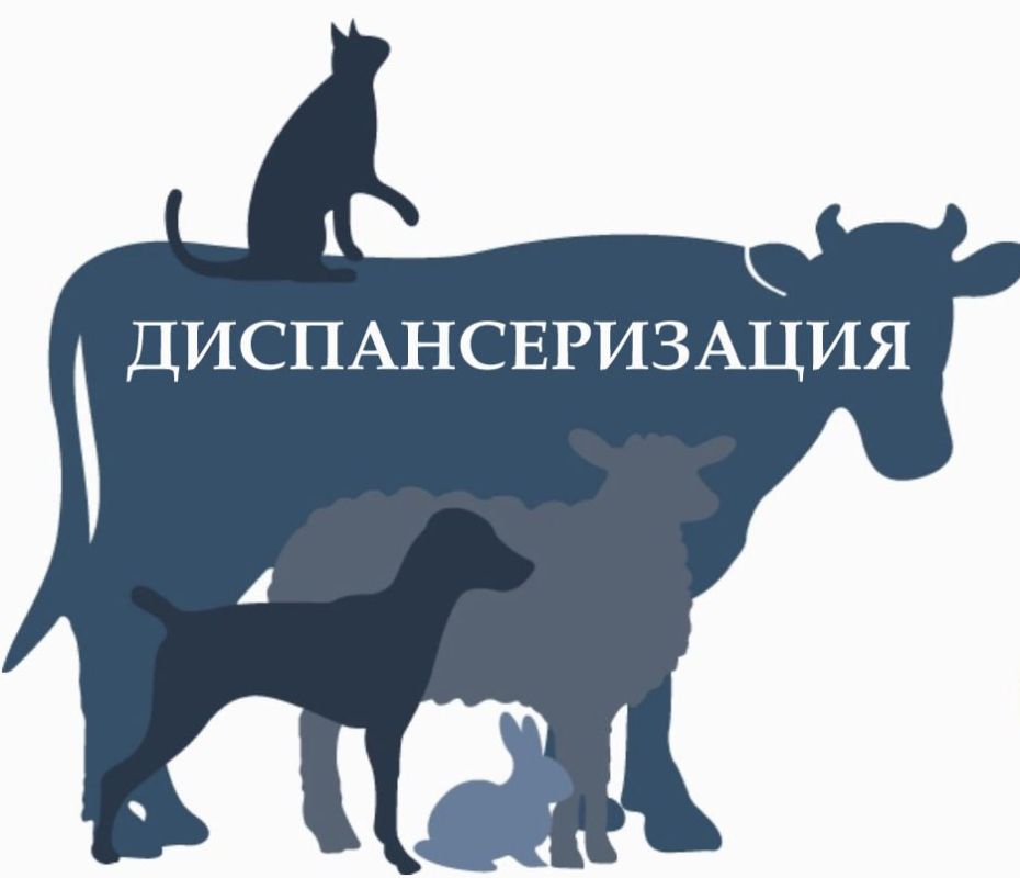 ГБУ "Волновахский районный центр занятости" с гордостью принял участие в акции "Бессмертный полк", которая прошла в нашем районе в честь Дня Победы ГБУ "Волновахский районный центр занятости" с гордостью принял участие в акции "Бессмертный полк", которая прошла в нашем районе в честь Дня Победы
