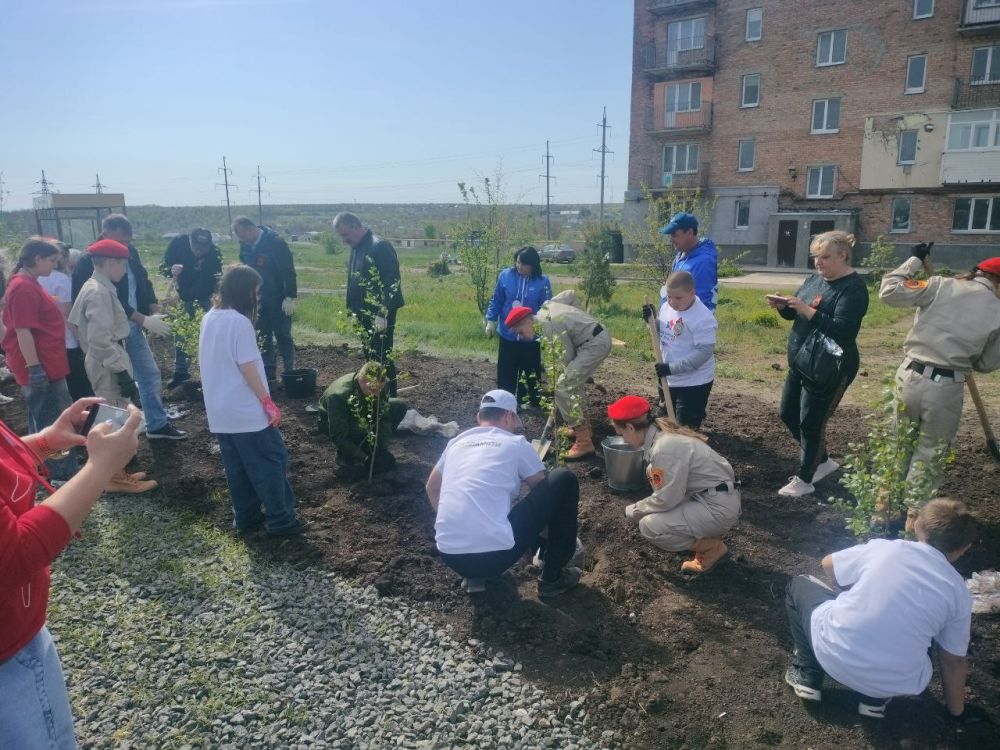 Сажаем будущее в память о прошлом Сажаем будущее в память о прошлом