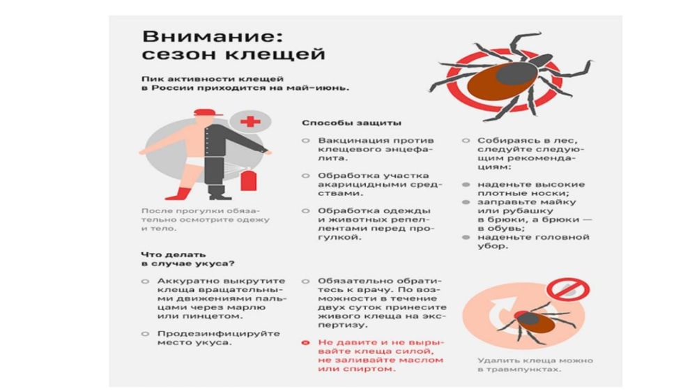 Памятка для населения по профилактике клещевого энцефалита и клещевого боррелиоза (болезни Лайма) Памятка для населения по профилактике клещевого энцефалита и клещевого боррелиоза (болезни Лайма)