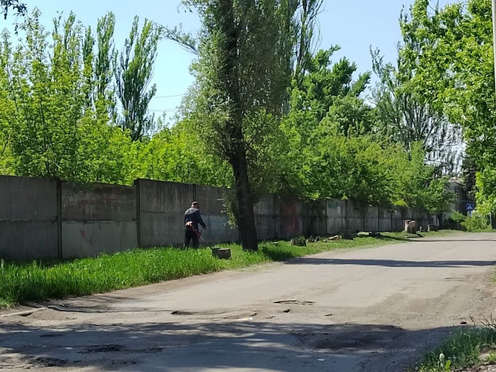 В Кировском внутригородском районе ведутся работы по покосу травы В Кировском внутригородском районе ведутся работы по покосу травы