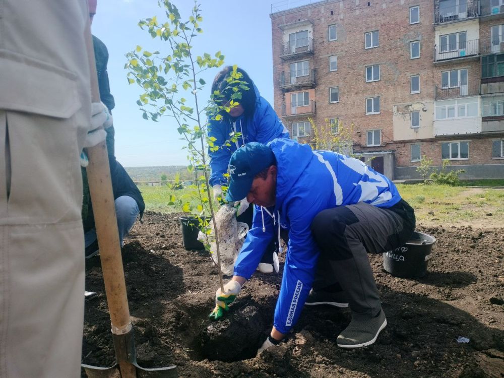 Сажаем будущее в память о прошлом Сажаем будущее в память о прошлом