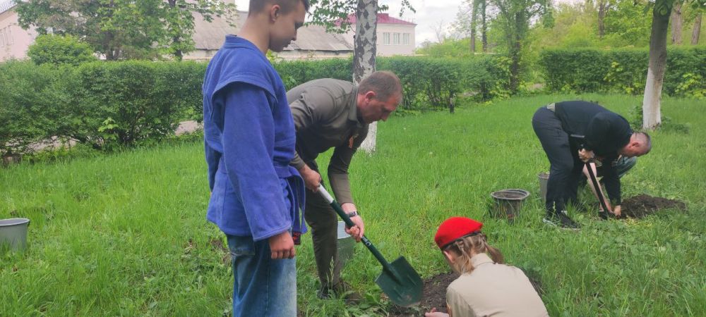 Александр Шатов: В Шахтерском округе высадили саженцы сосны у Братской могилы советских воинов Александр Шатов: В Шахтерском округе высадили саженцы сосны у Братской могилы советских воинов