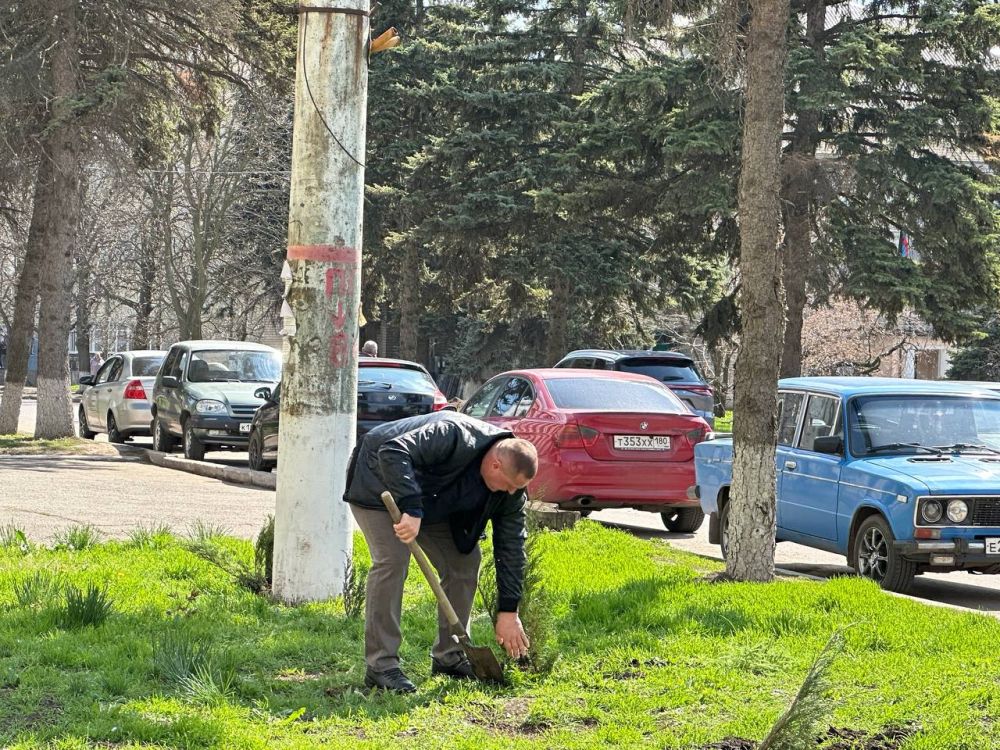 Озеленение округа продолжается Озеленение округа продолжается