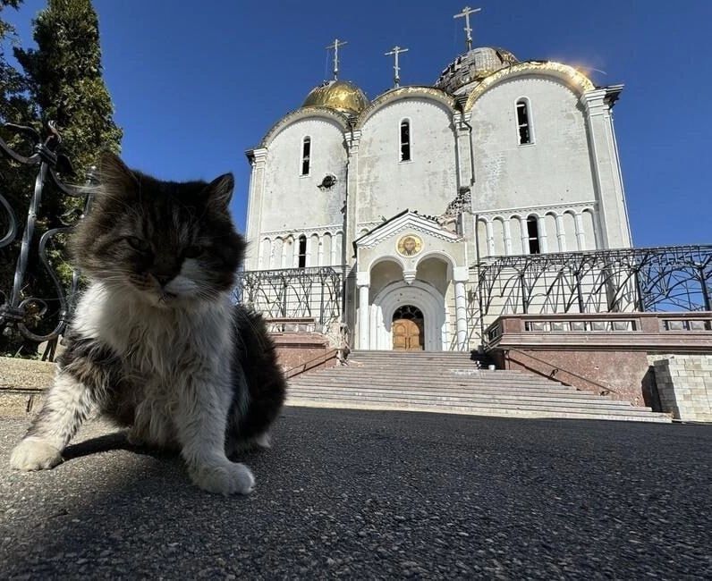 В Свято-Успенском Николо-Васильевском монастыре после долгих лет разрушений и обстрелов снова звучат молитвы В Свято-Успенском Николо-Васильевском монастыре после долгих лет разрушений и обстрелов снова звучат молитвы