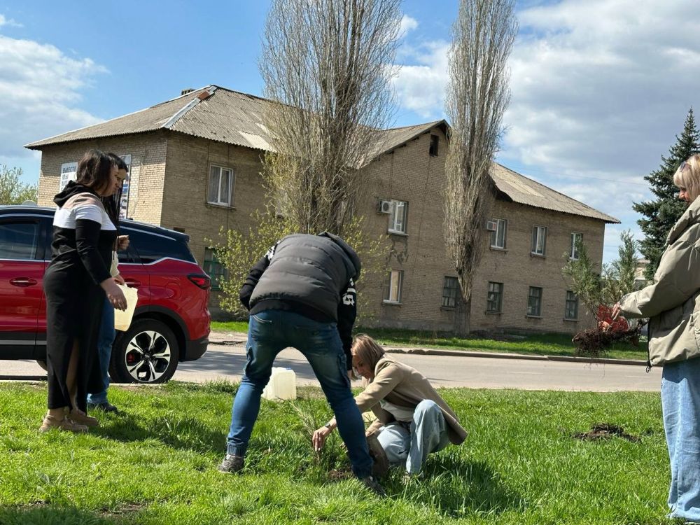 Озеленение округа продолжается Озеленение округа продолжается
