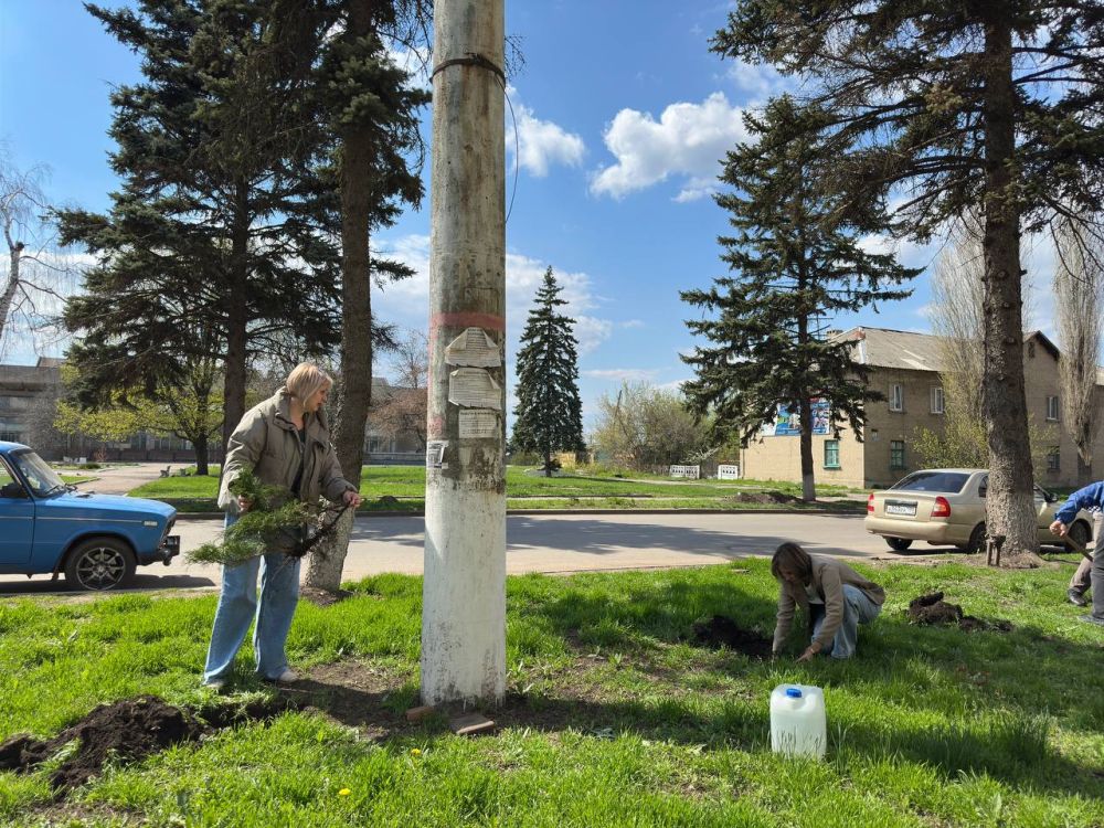 Озеленение округа продолжается Озеленение округа продолжается