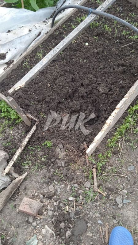 Иван Приходько: Последствия обстрела жилого массива «Комсомолец» со стороны украинских террористов Иван Приходько: Последствия обстрела жилого массива «Комсомолец» со стороны украинских террористов