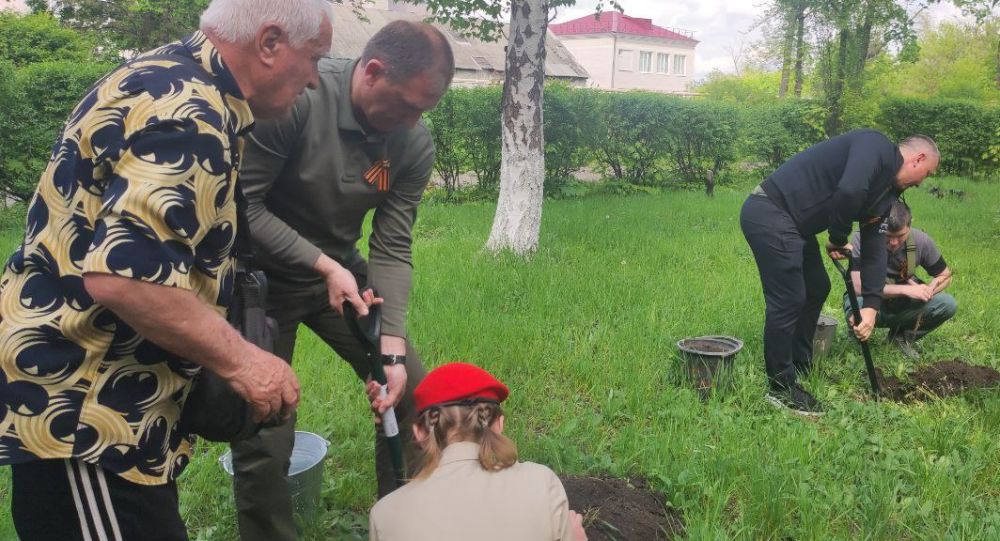 Александр Шатов: В Шахтерском округе высадили саженцы сосны у Братской могилы советских воинов Александр Шатов: В Шахтерском округе высадили саженцы сосны у Братской могилы советских воинов