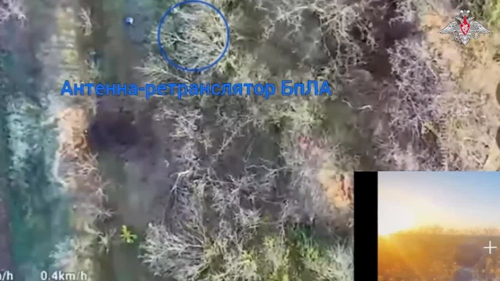  :  FPV-         - 