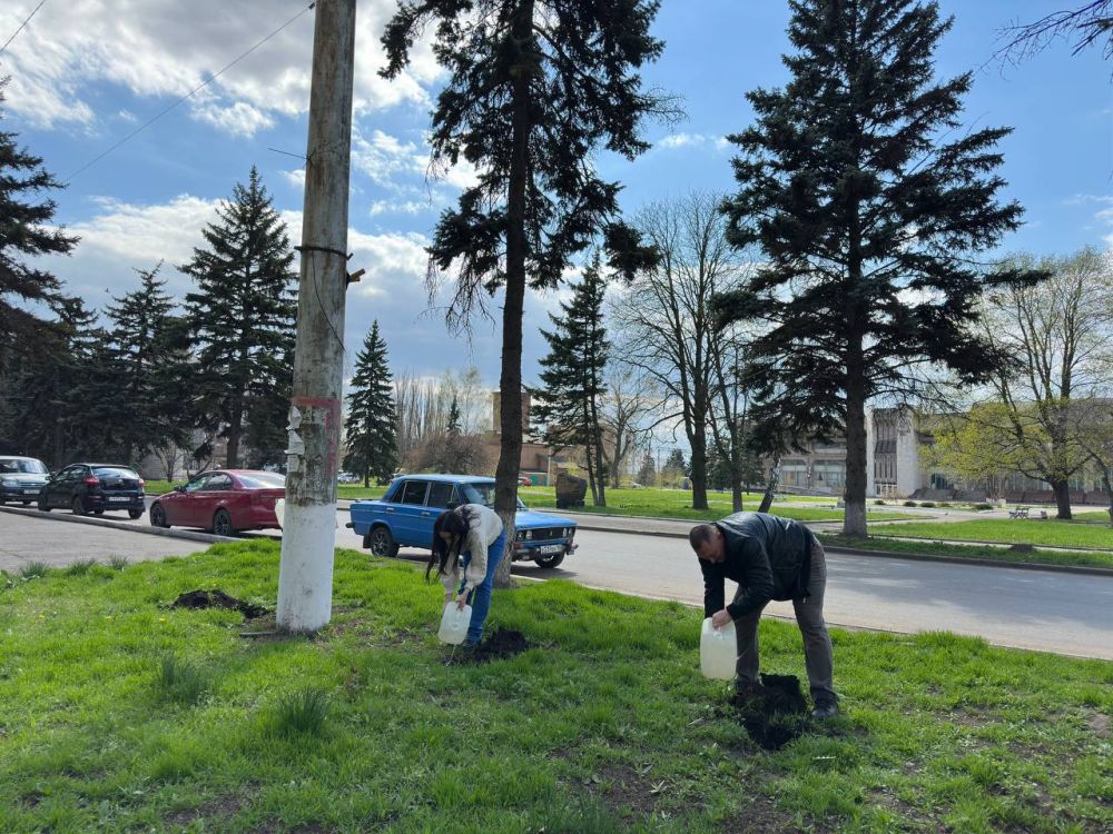 Озеленение округа продолжается Озеленение округа продолжается