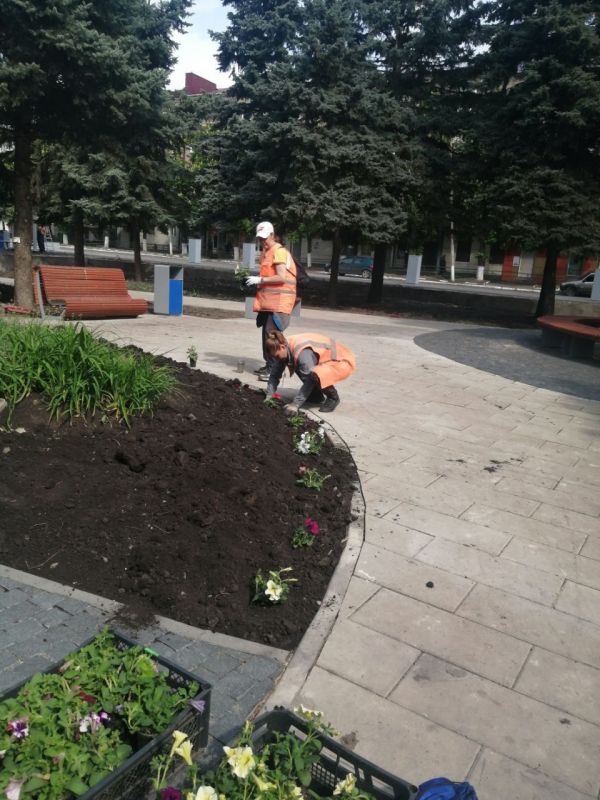 Коммунальщики Снежного продолжают благоустраивать территории общего пользования Коммунальщики Снежного продолжают благоустраивать территории общего пользования
