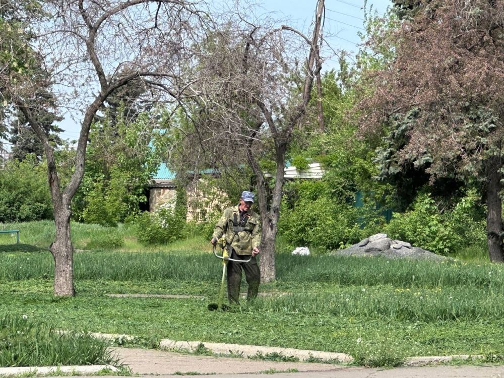 В городском округе Иловайск продолжаются работы по покосу сорных и карантинных трав В городском округе Иловайск продолжаются работы по покосу сорных и карантинных трав