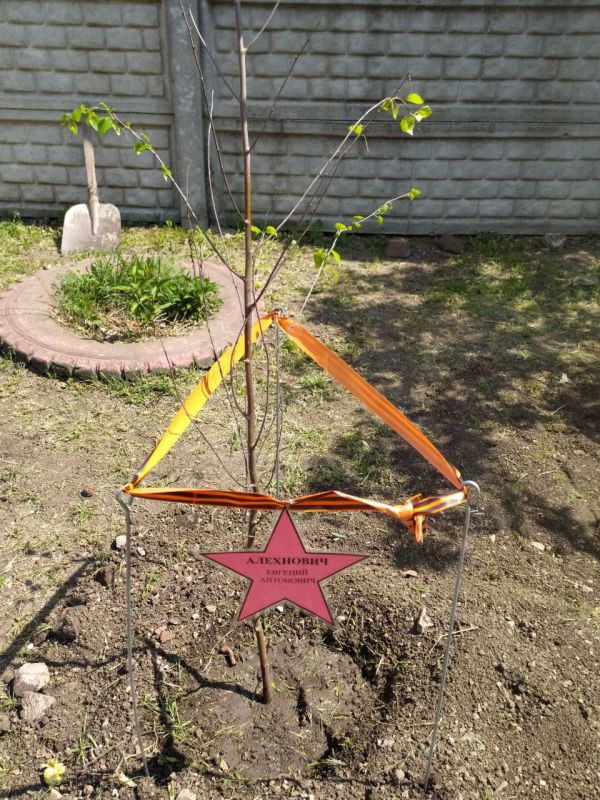 Символ Мира. В городском округе Иловайск на территории детского сада №3 «Ласточка» к 80-летию Великой Победы состоялась акция по высадке берез, как символ Мира Символ Мира. В городском округе Иловайск на территории детского сада №3 «Ласточка» к 80-летию Великой Победы состоялась акция по высадке берез, как символ Мира