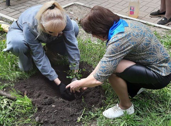 Тематические мероприятия центров занятости региона накануне 80-летия Великой Победы – в #ДАЙДЖЕСТ_ЦЗ_ДНР за неделю Тематические мероприятия центров занятости региона накануне 80-летия Великой Победы – в #ДАЙДЖЕСТ_ЦЗ_ДНР за неделю