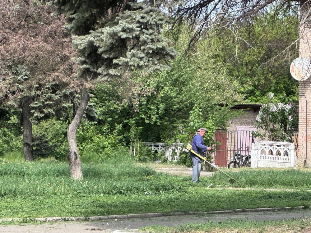 В городском округе Иловайск продолжаются работы по покосу сорных и карантинных трав В городском округе Иловайск продолжаются работы по покосу сорных и карантинных трав