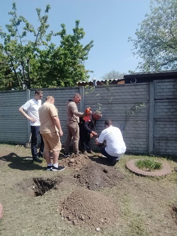 Символ Мира. В городском округе Иловайск на территории детского сада №3 «Ласточка» к 80-летию Великой Победы состоялась акция по высадке берез, как символ Мира Символ Мира. В городском округе Иловайск на территории детского сада №3 «Ласточка» к 80-летию Великой Победы состоялась акция по высадке берез, как символ Мира