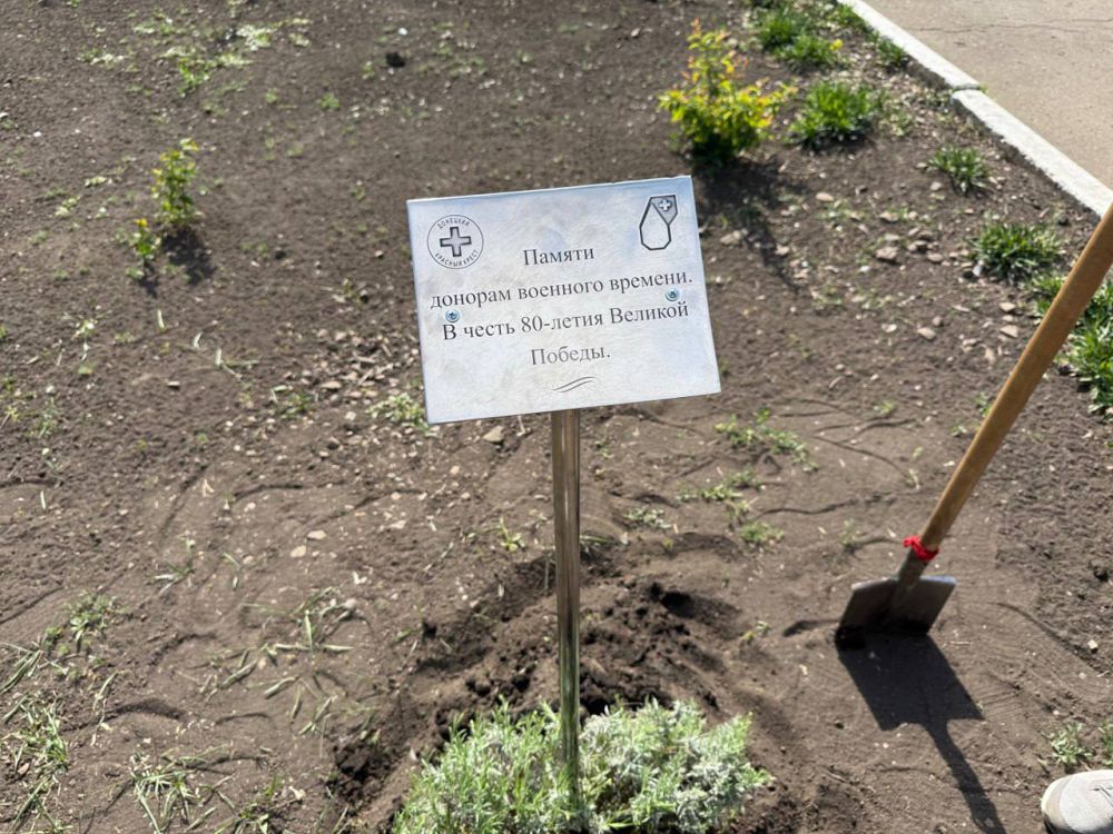 В честь 80 летия Великой Победы, в память о донорах военного времени Председатель РОО»Донецкий Красный Крест» Ситник О.В., координатор местного отделения Бардина А.Б. при участии заместителя главы администрации г. о.... В честь 80 летия Великой Победы, в память о донорах военного времени Председатель РОО»Донецкий Красный Крест» Ситник О.В., координатор местного отделения Бардина А.Б. при участии заместителя главы администрации г. о....