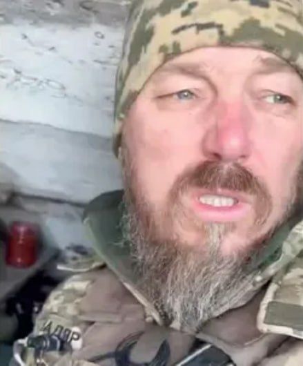 О значении фразы "герой Украины" О значении фразы "герой Украины"